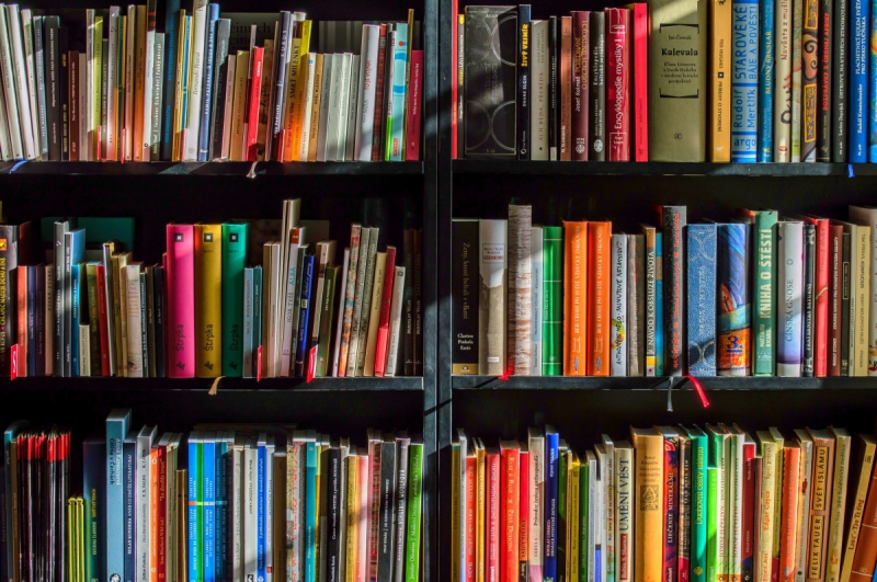 boutique-LE REVEST LES EAUX-min_books_bookstore_book_reading_shop_writer_sale_books_read-822866